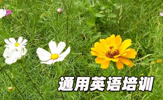 深圳福田區(qū)通用英語培訓哪里好_價格