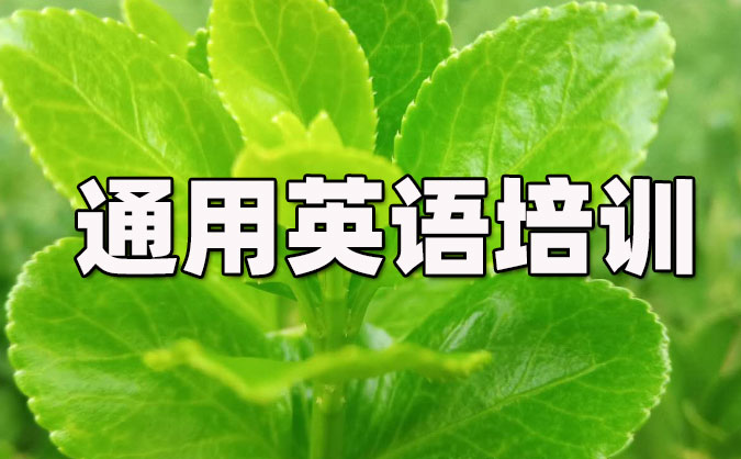 長沙雨花區(qū)通用英語培訓哪里好_價格