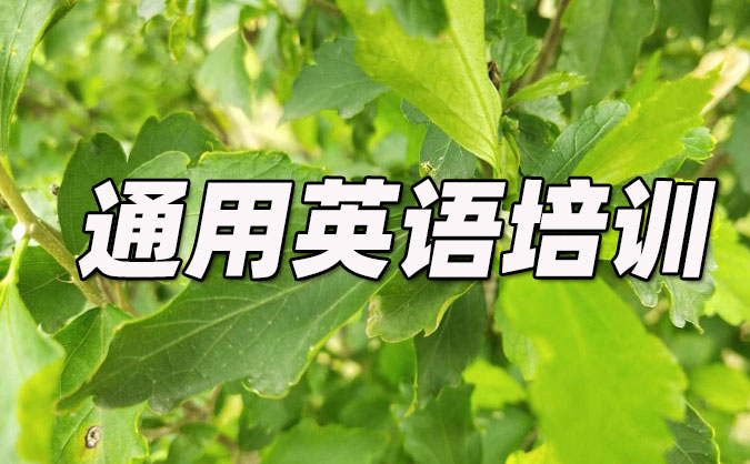 惠州通用英語培訓(xùn)哪里好_價格