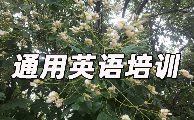 沈陽和平區(qū)通用英語培訓哪里好_價格