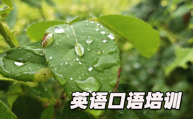 成都錦江區(qū)從零開始學(xué)英語(yǔ)口語(yǔ)_專業(yè)培訓(xùn)機(jī)構(gòu)，免費(fèi)試聽-美聯(lián)學(xué)校