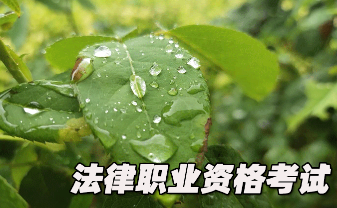  婁底法律職業(yè)資格考試-報名條件-考試時間-考試科目