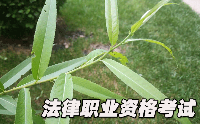 蚌埠法律職業(yè)資格考試-報(bào)名條件-考試時(shí)間-考試科目