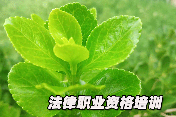 重慶萬州區(qū)法律職業(yè)資格考試-報(bào)名條件-考試時(shí)間-考試科目