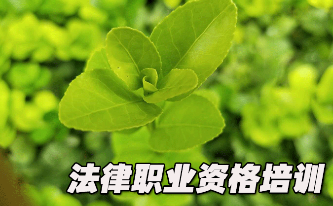 遼寧法律職業(yè)資格考試-報(bào)名條件-考試時(shí)間-考試科目