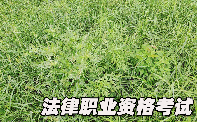 常州法律職業(yè)資格考試-報名條件-考試時間-考試科目